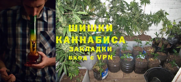 молекула духа Алзамай